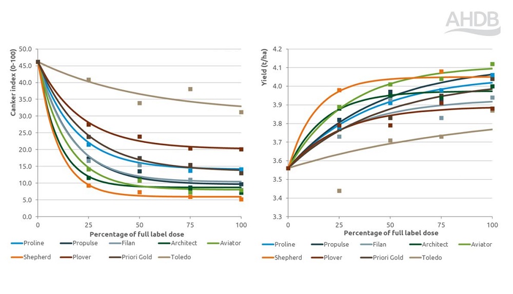 Stem canker disease and yield fungicide performance response chart 2024